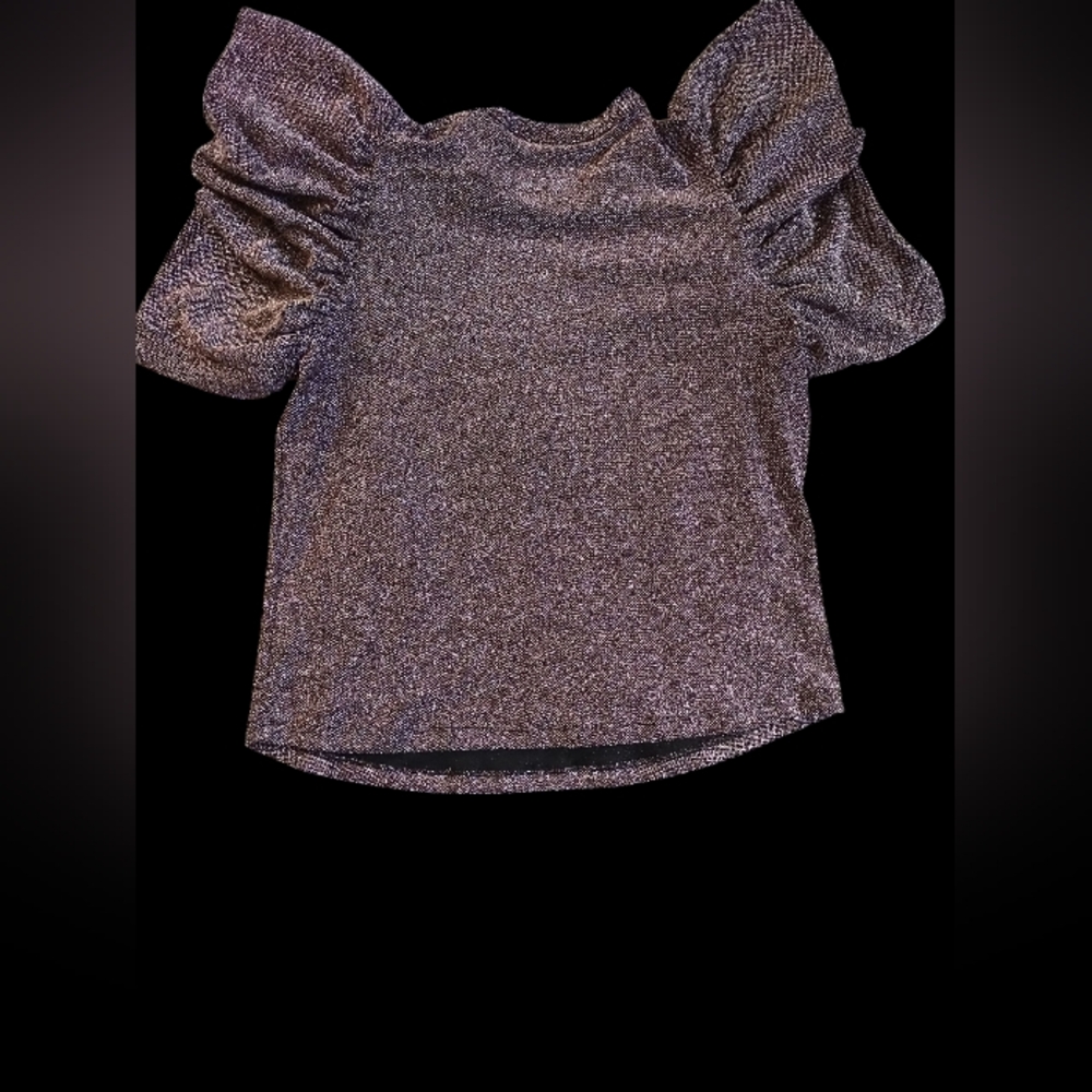Zara Shimmering Silver Puff Sleeve Blouse